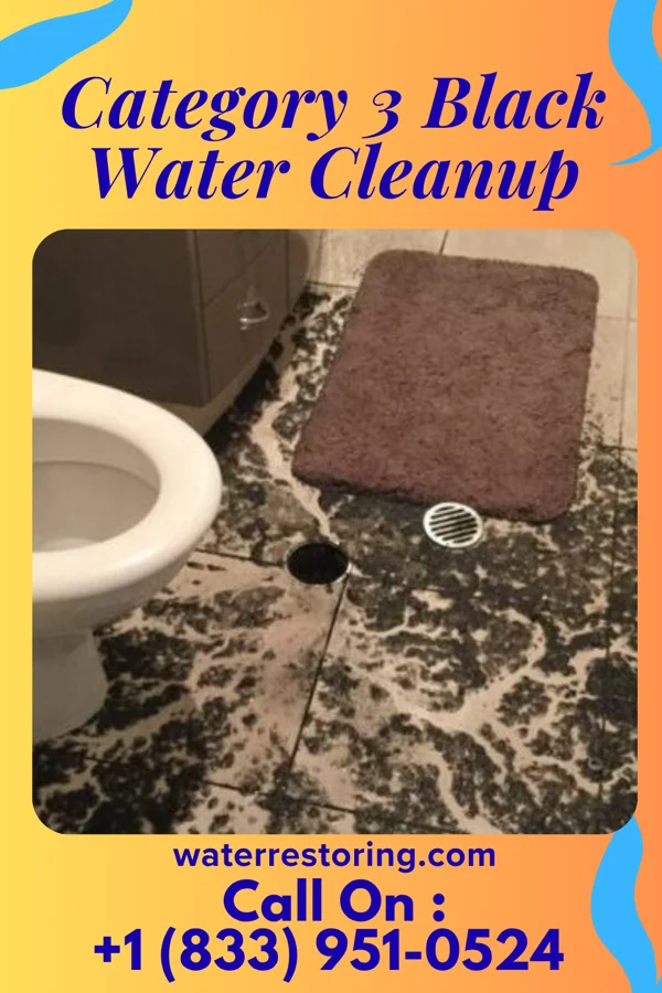 Category 3 Black Water Cleanup in Ralston, NE