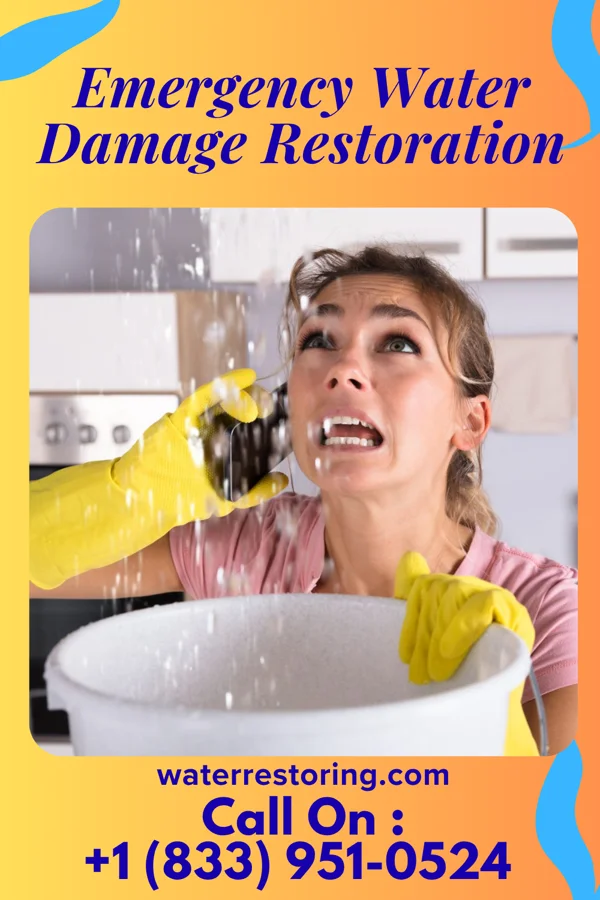 Emergency Water Damage Restoration in Ralston, NE