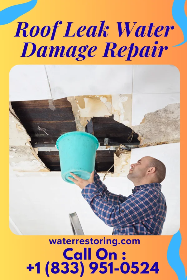 Roof Leak Water Damage Repair in Ralston, NE